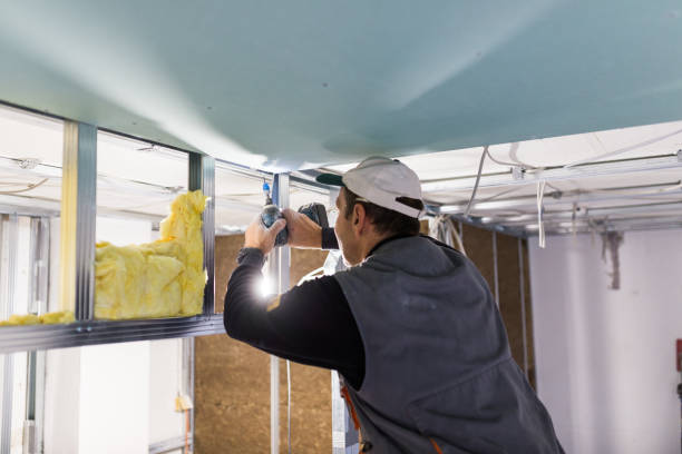 Best Blown-in Insulation in Barnwell, SC