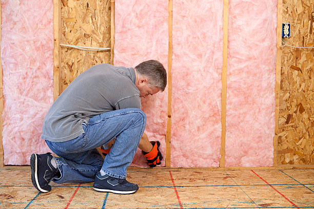 Professional Insulation Contractor in Barnwell, SC